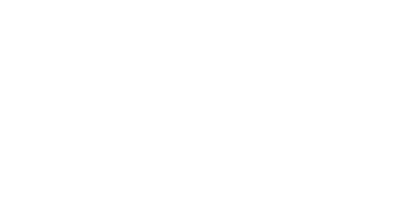 Startup Accelerated